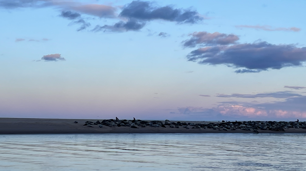 Marine horizon and sandbank representing risk observation in marine insurance underwriting.